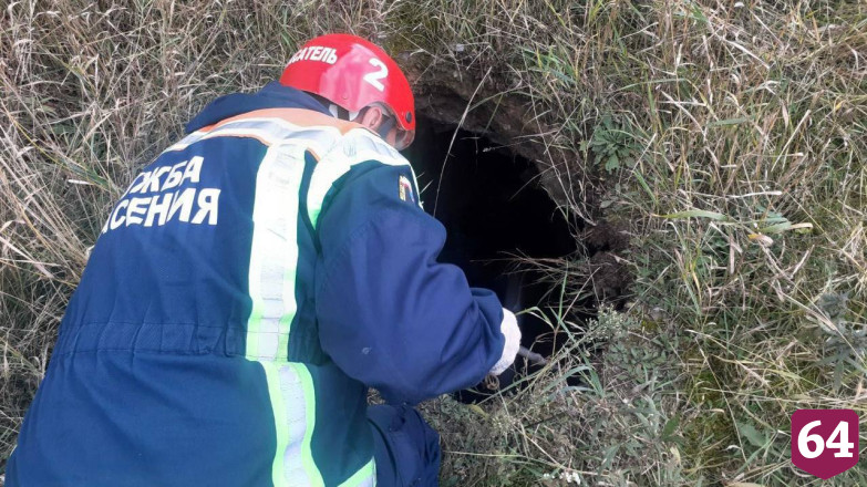 Саратовские спасатели вытащили из колодца двух собак