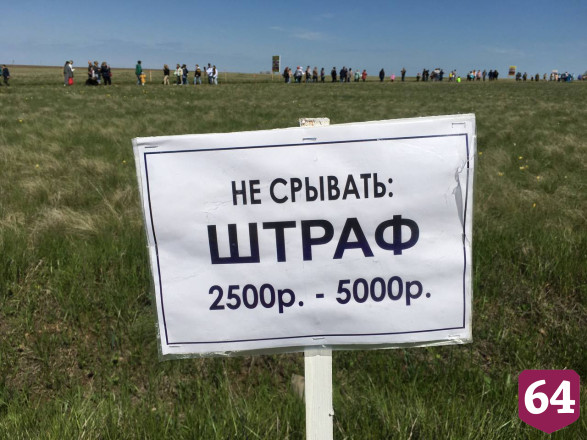 Губернатор назвал тюльпан символом саратовской земли