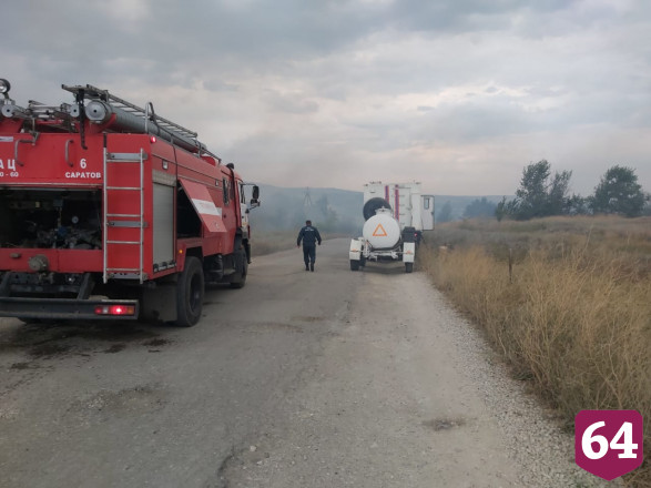 Под Саратовом едва не сгорел уникальный реликтовый лес