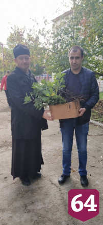 Священник создал у храма лесопитомник и раздает по Заволжью дубы