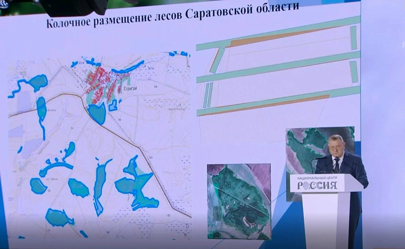 В Саратовской области актуализировали границы лесничеств 