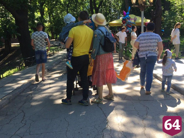 Саратовцы в горпарке выстроились в очередь покормить лебедей