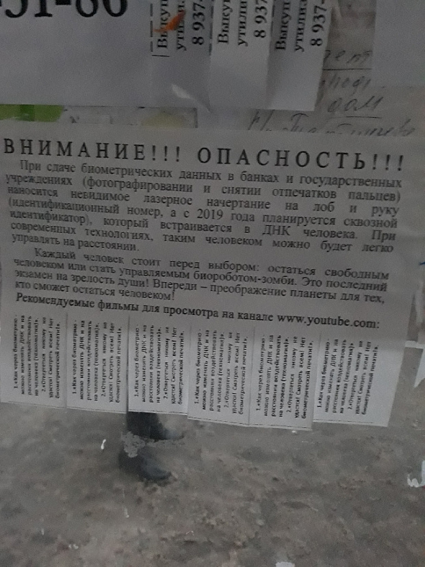 Расклейщики объявлений пугали саратовцев нашествием биороботов