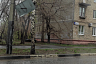 Под Саратовом ураганный ветер сломал дерево и опрокинул остановку