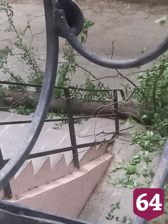 В Саратове из-за урагана деревья рухнули на автомобили