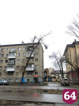 Саратовцы ждут падения дерева на голову