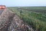 На трассе в перевернувшейся в кювет «Приоре» погиб водитель 