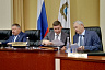 Саратовские дольщики рассказали о выросшем на месте их дома дереве 
