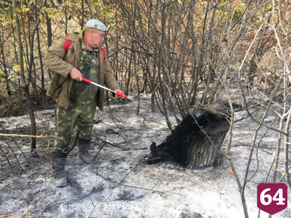 В Саратовской области на месте лесного пожара выставили караульных 