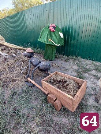 Саратовские рукодельницы сплели насекомых для музея нацпарка