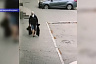 Мужчина надел маску из урны и похитил сосны с проспекта Кирова