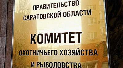 В Саратовской области выдали 20655 разрешений на охоту 