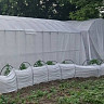 Саратовец вырастил в теплицах на даче 156 кустов конопли