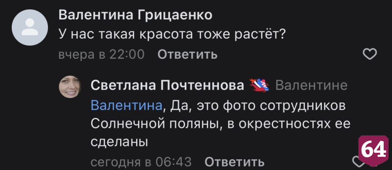 В Саратовской области нашли редкий гриб в виде чаши для эльфов