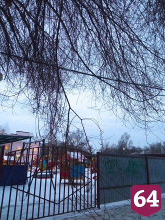 Саратовцы показали опасное дерево на пути к детскому саду 
