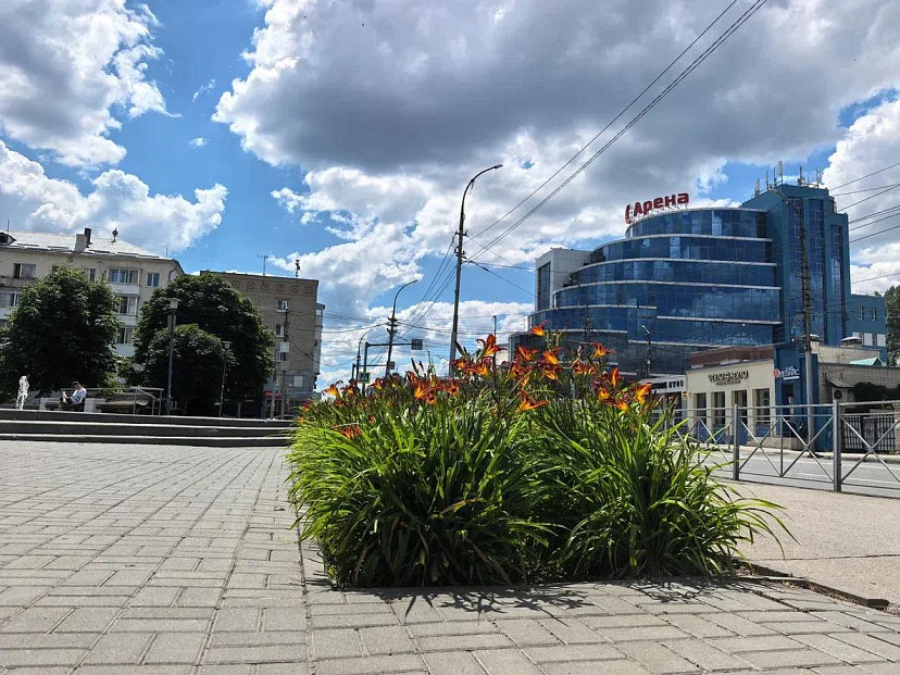 В Саратовской области прогнозируют дождь с грозой и сильный ветер