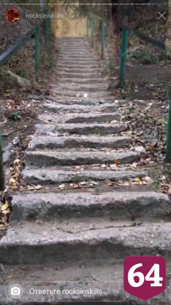 В сети появилось видео жуткой дороги Лизы Киселевой в школу