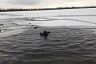 Под Саратовом мужчина на снегоходе провалился под лед и утонул