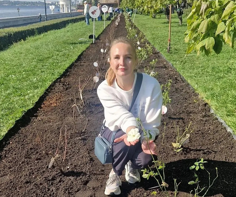 На набережной Саратова высадили 250 кустов роз 