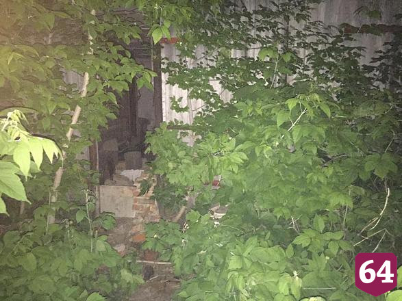 Главврач центра эпидемиологии осуждена за смерть мальчика под стеной гаража