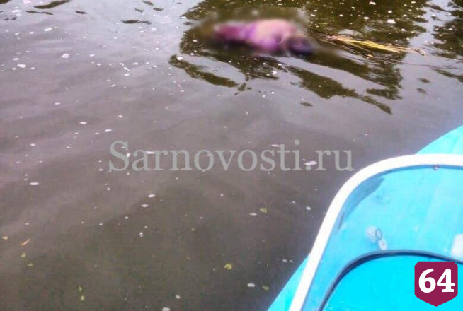 Отдыхающие на городском пляже заметили труп в камышах