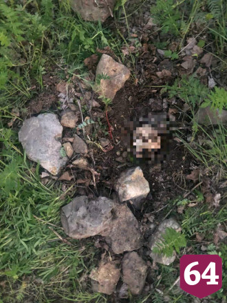 В Ленинском районе рабочие нашли череп и кости человека