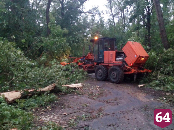 В Саратовской области ураган повалил 132 дерева