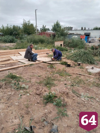 Саратовцы в свободное время строят будки спасенным с улицы собакам