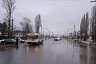 Под Саратовом заказной троллейбус сбил 55-летнего мужчину