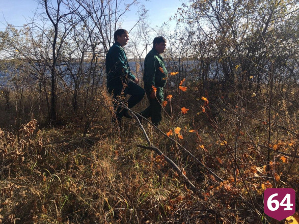 В саратовских лесах ловят нарушителей пожарной безопасности