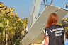 В Саратовской области после столкновения с ЛЭП рухнул самолет