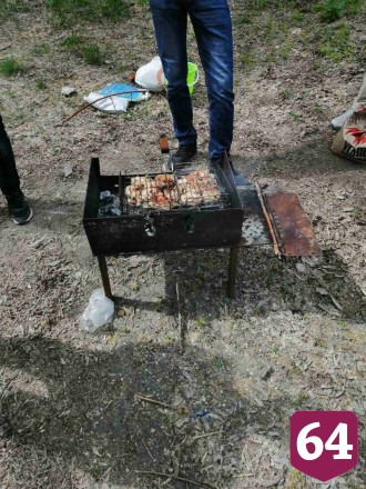 Под Саратовом на лесной поляне задержали даму с мангалом