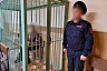 Под Саратовом гость ударом ножа убил 69-летнюю хозяйку дома