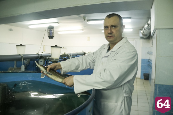 Саратовский университет возглавил консорциум пяти аграрных вузов ПФО