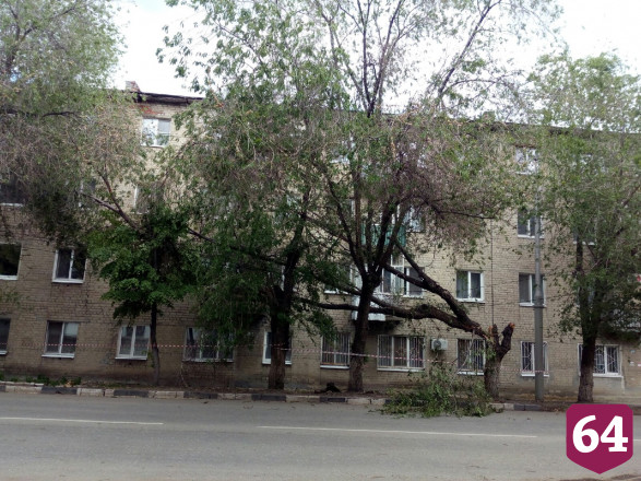 В Саратове рухнувшее дерево почти неделю провисело на проводах