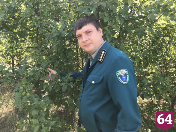 Газовавший тракторист в нескольких местах поджег лес