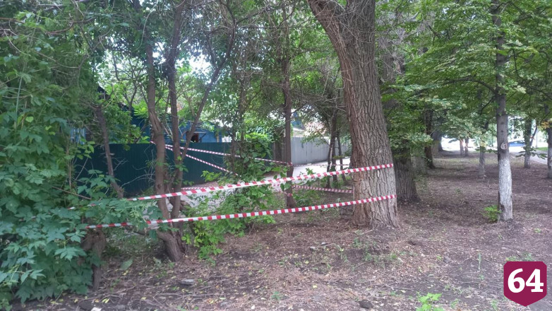 В Саратове в грозу повалило 32 дерева 