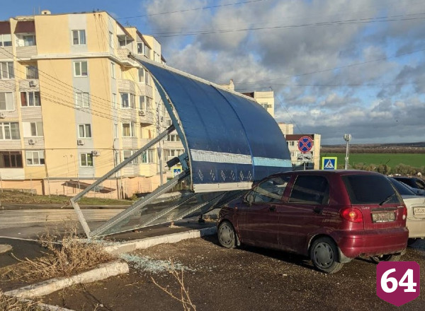В Саратове деревья рухнули на два автомобиля и два дома