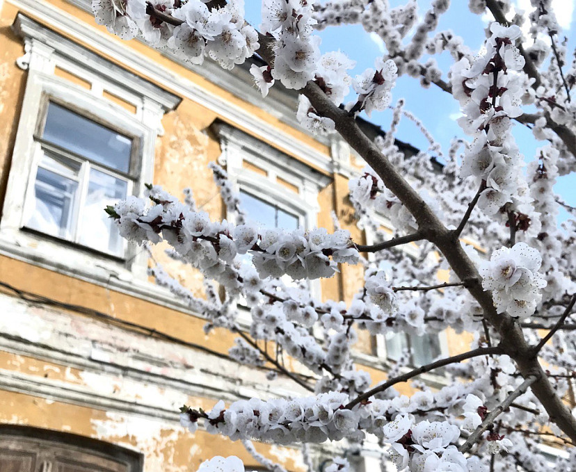 Саратовцам пообещали аномально жаркую погоду на Первомай