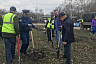 В Саратове губернатор посадил березы на Кумысной поляне