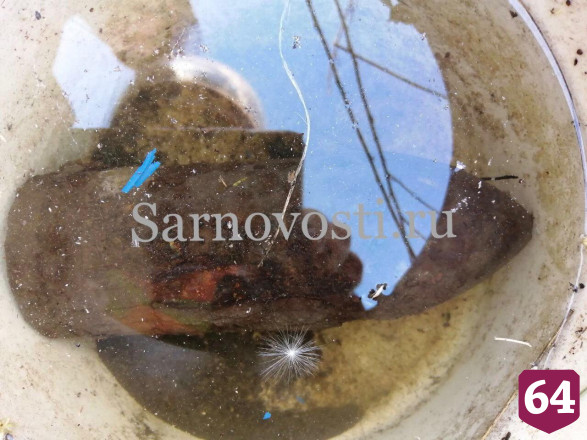 Житель Саратова нашел под дачей снаряд