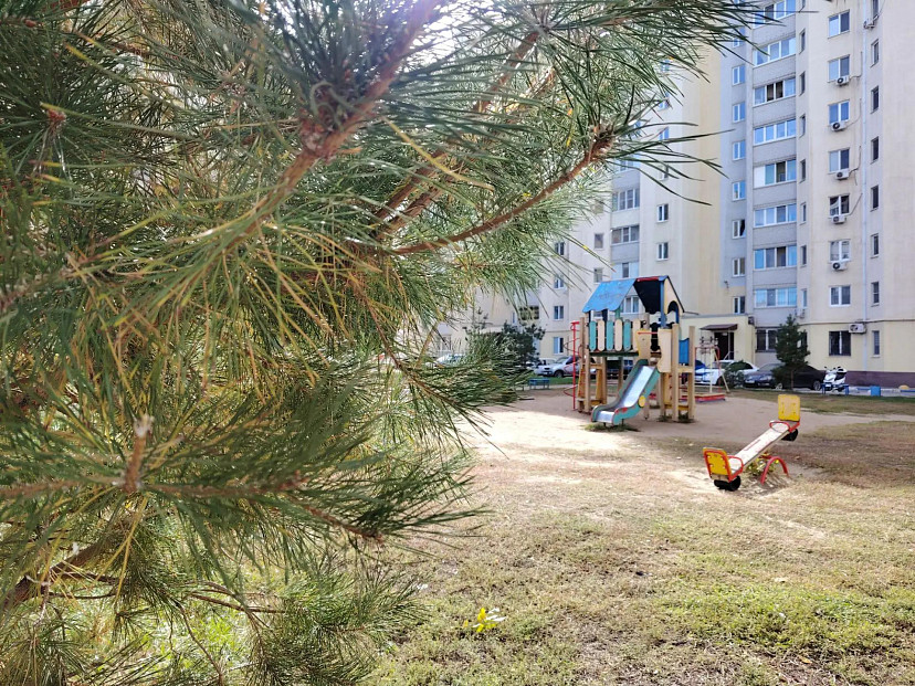 Саратовцев ждет теплый день без дождей 