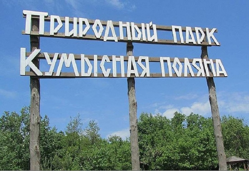 Житель Саратова объявил войну организаторам свалки на Кумысной поляне