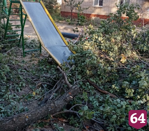 В Саратове дерево рухнуло на детскую площадку 