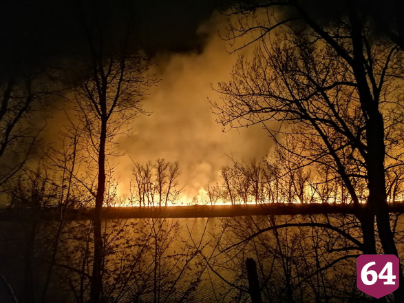 В 4 районах Саратовской области горели леса