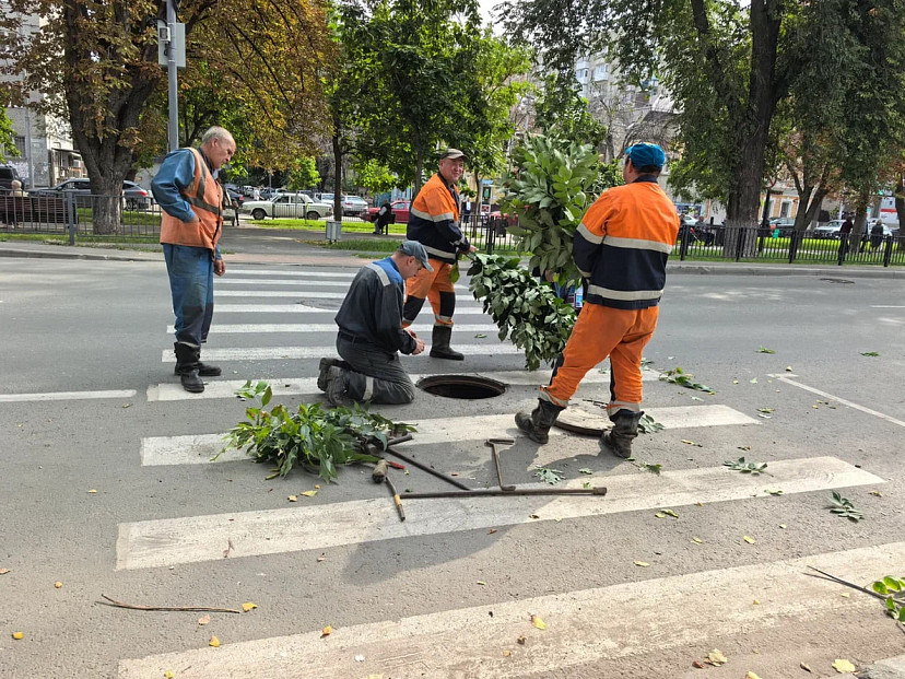 Озвучено пять самых популярных мест работы у мужчин Саратовской области