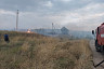 Под Саратовом едва не сгорел уникальный реликтовый лес