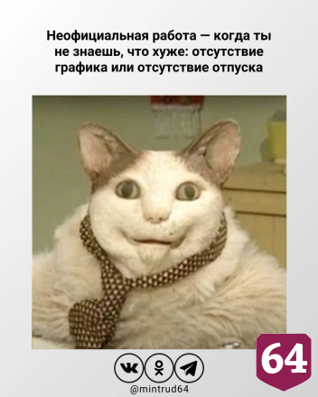 Котики из мемов назвали саратовцам минусы неофициального трудоустройства 