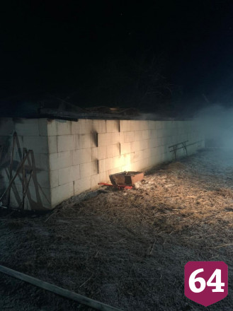 На частном подворье под Саратовом сгорели 30 голов КРС