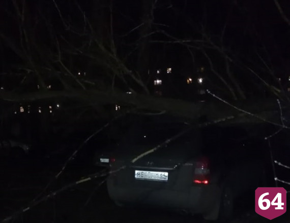 На Беговой дерево упало на внедорожник 